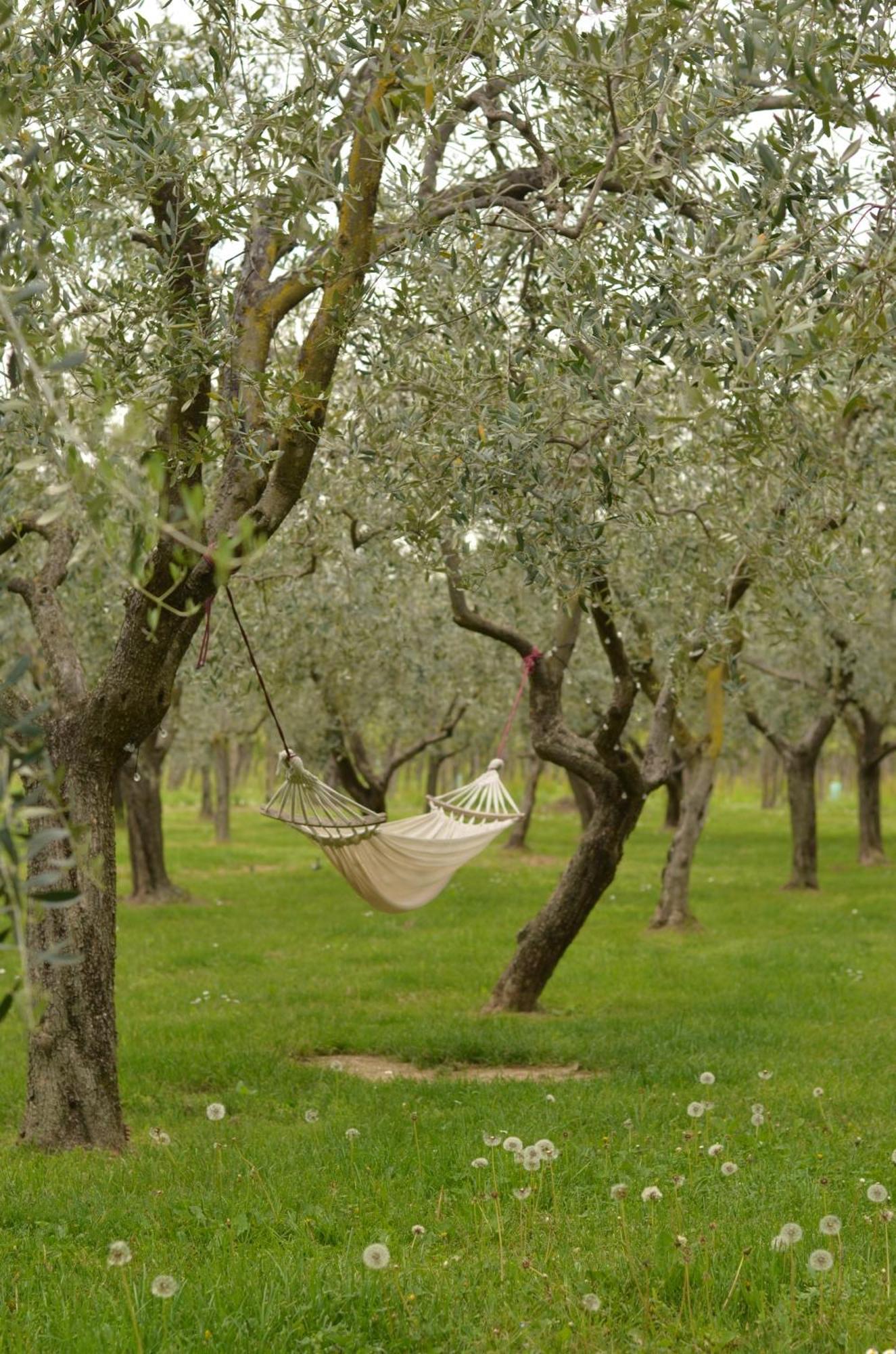 B&B La Cipressina カヴァイオーン・ヴェロネーゼ エクステリア 写真